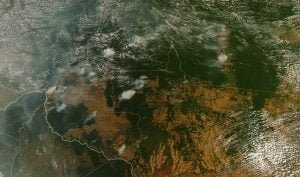 Leia mais sobre o artigo Afinal de contas, o Brasil vai virar uma Venezuela?