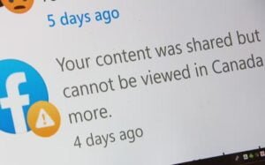 Leia mais sobre o artigo Google, Facebook e a remuneração do jornalismo