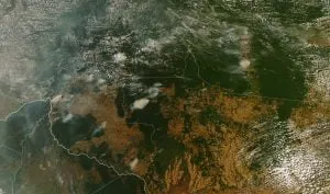 Leia mais sobre o artigo Afinal de contas, o Brasil vai virar uma Venezuela?