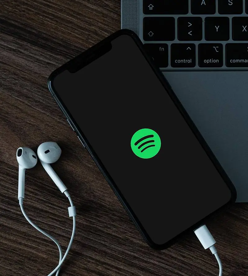 Fórmula da música no Spotify pode ser a saída