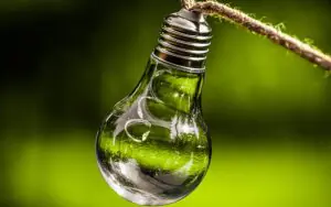 Leia mais sobre o artigo Jornalismo, ESG e sustentabilidade